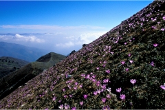 222.   Alpi Apuane Lato-Nord