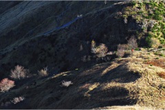 224.   Alpi Apuane Foce-del-Termine