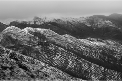 316.   Alpi Apuane Vecchi-terrazzamenti
