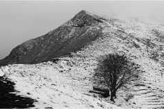 328   Alpi Apuane Matanna