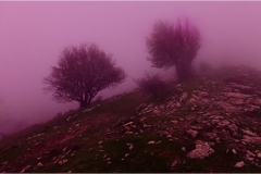 358   Alpi Apuane