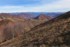 368  Alpi Apuane
