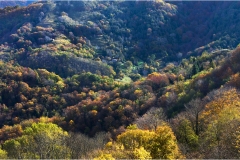 372  Alpi Apuane