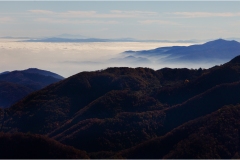 504  Le  Alpi Apuane- La piana di lucca