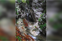 560 .  Le Alpi Apuane- La forra-delle-scalette