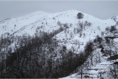 586  Le Alpi Apuane