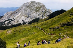 639   Le Alpi  Apuane-Pania Secca dal rifugio Rossi