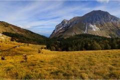 682 le Alpi Apuane- La Pania dal sentiero del M.Corchia