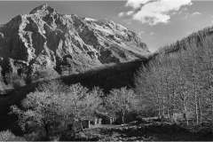 690 - le Alpi Apuane- Le Panie- Il puntato