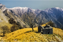 770.- Alpi-Apuane -Castagnolo-1998