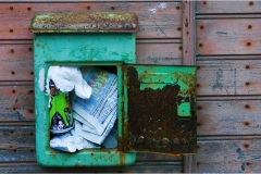 792  Le  Alpi Apuane-Colonnata : Il Paese