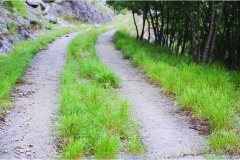 821.  Le  Alpi Apuane- Monorotaia-Denham-Piastreta