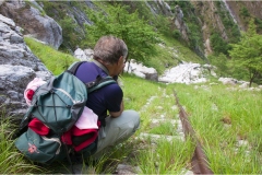 829  Le  Alpi Apuane- La monorotaia Denham 