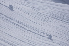14   Appennino dal S. Pellegrino al Lago Santo