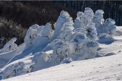 7-   Appennino dal S. Pellegrino al Lago Santo - Crinali