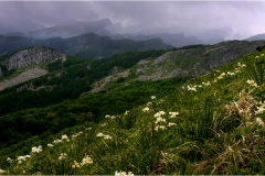 076 - Appennino -Dal Passo di Cirone al passo del Cerreto