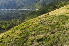 Appennino: Dal Passo di Cirone al Cerreto