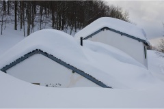 135 -Appennino -Dalla  Focerella al Passo delle Radici