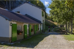 139 Appennino -Dalla  Focerella al Passo delle Radici