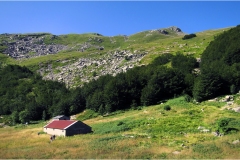 140-Dal Passo di Cirone al passo del Cerreto