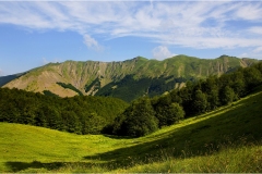 143 Appennino -Dalla  Focerella al Passo delle Radici