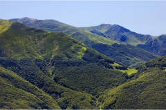 147 Appennino -Dalla  Focerella al Passo delle Radici