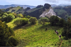 15  Appennino: Dal Passo di Cirone al Cerreto