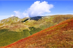 166 Appennino -Dalla  Focerella al Passo delle Radici