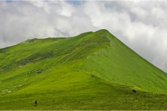 172 - Appennino -Dal Passo di Cirone al passo del Cerreto