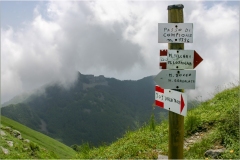 174 - Appennino -Dal Passo di Cirone al passo del Cerreto