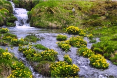 177 -Appennino -Dalla  Focerella al Passo delle Radici