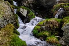 178- Appennino -Dalla  Focerella al Passo delle Radici-Emissario-Bargetana