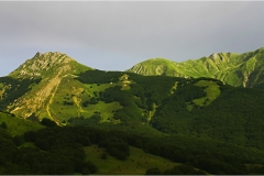 180- Appennino- Dal Cirone al Cerreto-Alpe-di-Succiso