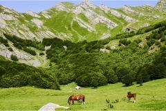 1_182- Appennino- Dal Cirone al Cerreto