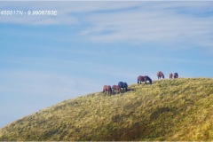 1_30 Appennino: Dal Passo di Cirone al Cerreto