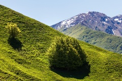 1_37 Appennino: Dal Passo di Cirone al Cerreto