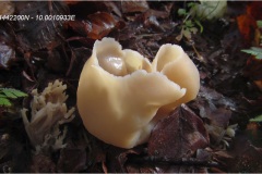 1_56 - Appennino: Dal Passo di Cirone al Cerreto