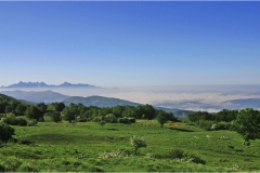 1_72 - Appennino -Dal Passo di Cirone al passo del Cerreto