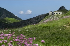 200   Appennino- Dalla Focerella al Passo delle Radici