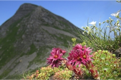 202   Appennino- Dalla Focerella al Passo delle Radici