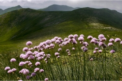 217  -Appennino dalla  Focerella al Passo delle Radici