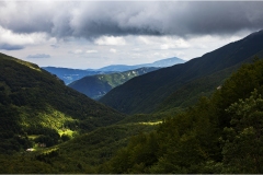 237-  -Appennino dalla  Focerella al Passo delle Radici - Abetina-Reale