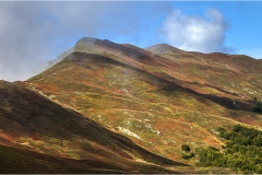 244  -Appennino dalla  Focerella al Passo delle Radici