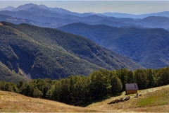 253-  -Appennino dalla  Focerella al Passo delle RadiciIl-rientro