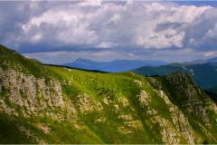 254-  -Appennino dalla  Focerella al Passo delle Radici - Pecorelle