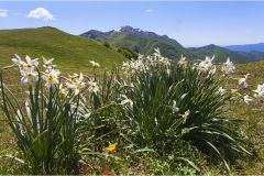27 Appennino: Dal Passo di Cirone al Cerreto