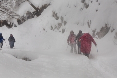 279--Appennino dalla  Focerella al Passo delle Radici .Tormenta-a-Campaiana-2-1