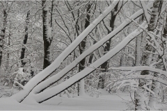 279--Appennino dalla  Focerella al Passo delle Radici