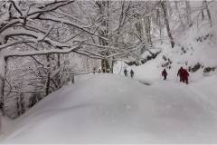 279-T-Appennino dalla  Focerella al Passo delle Radici 