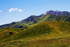 29 Appennino: Dal Passo di Cirone al Cerreto